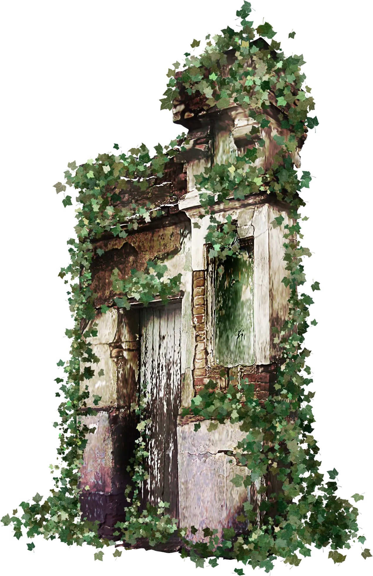 Ivy-Covered Old Building