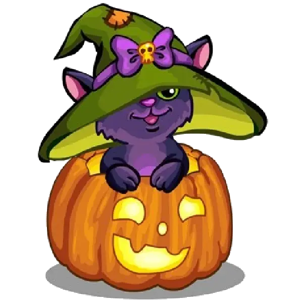 Purple Cat in Halloween Pumpkin with Witch Hat