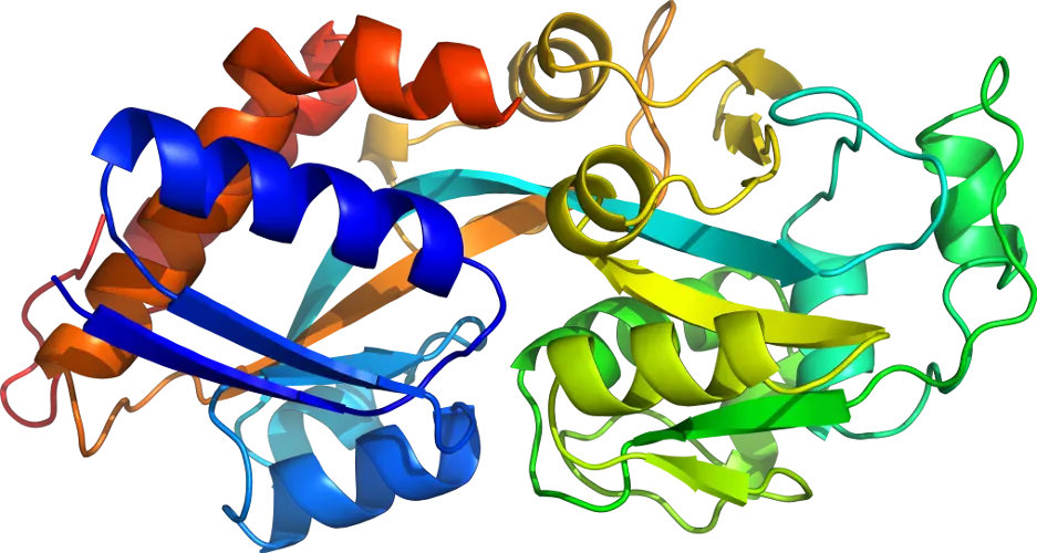 3D Rendered Protein Structure Illustration