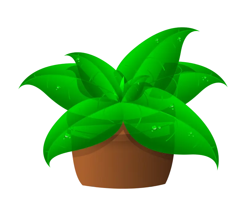 Green Potted Plant Illustration