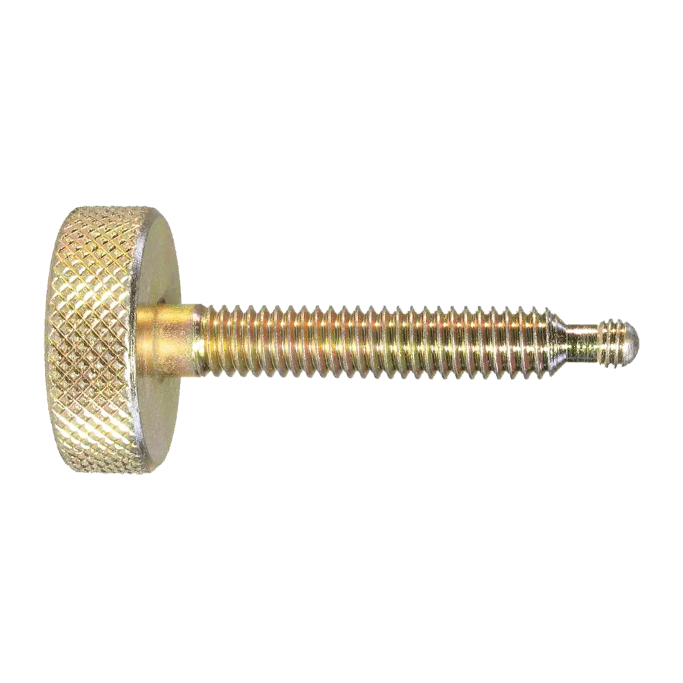Golden Flat Head Screw