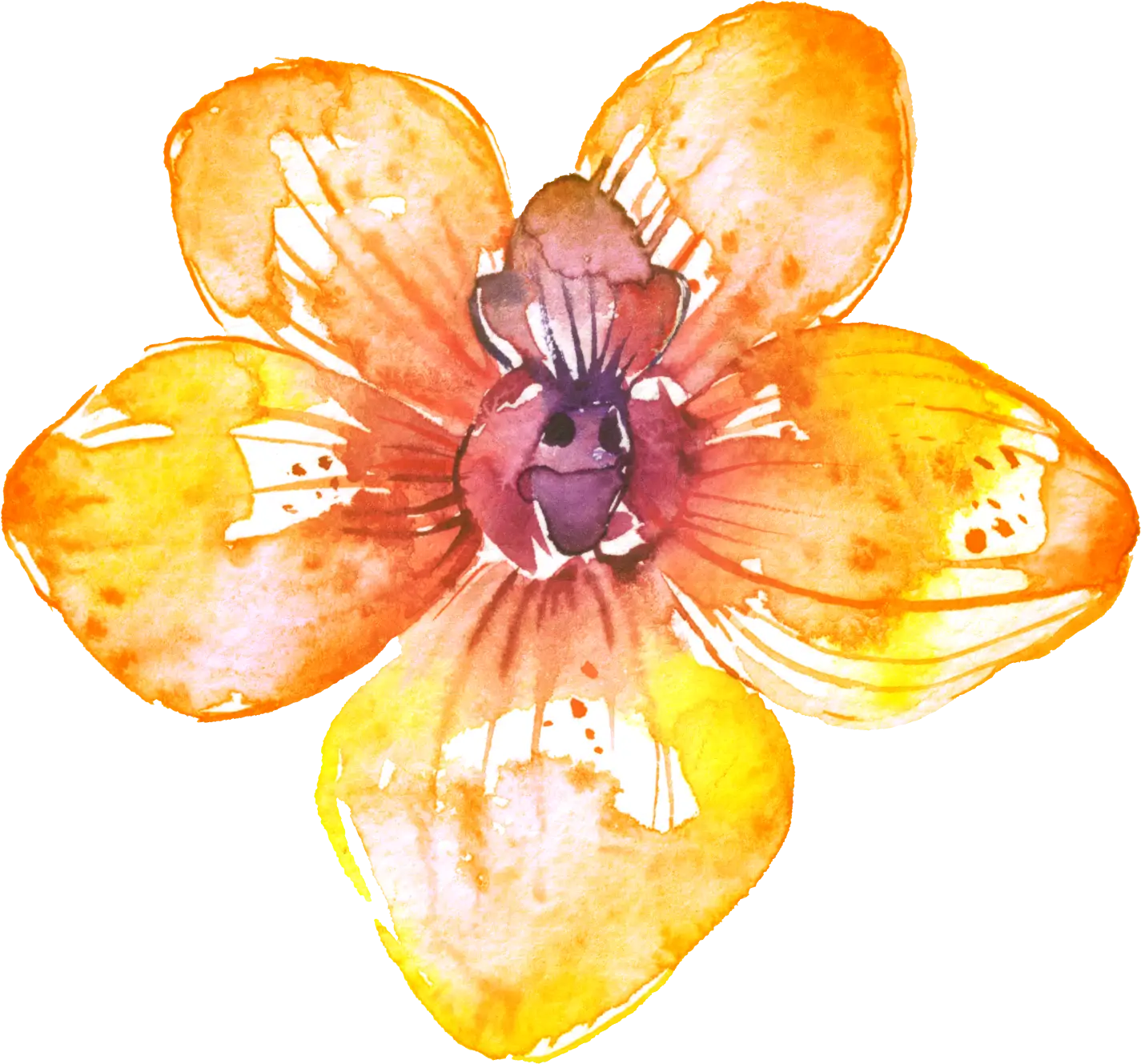 Orange Watercolor Flower
