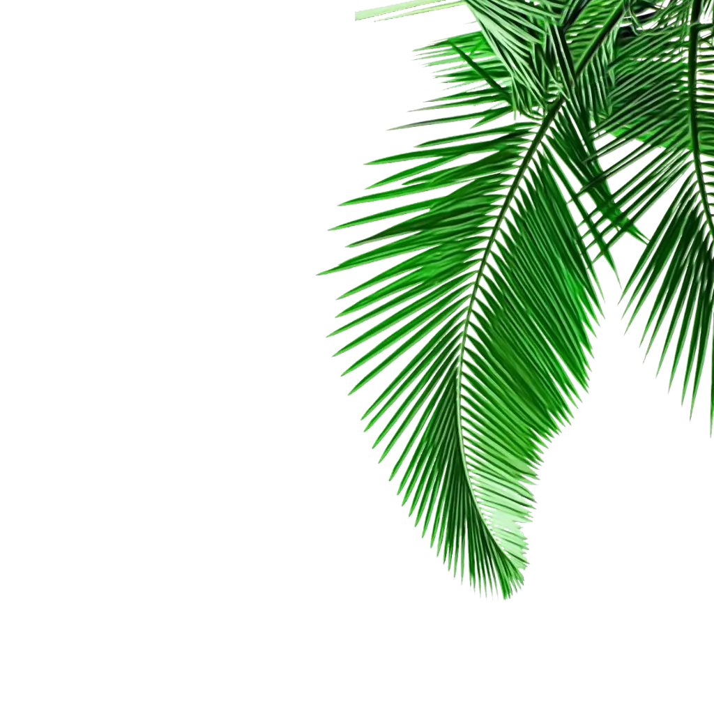 Tropical Green Palm Leaves Illustration