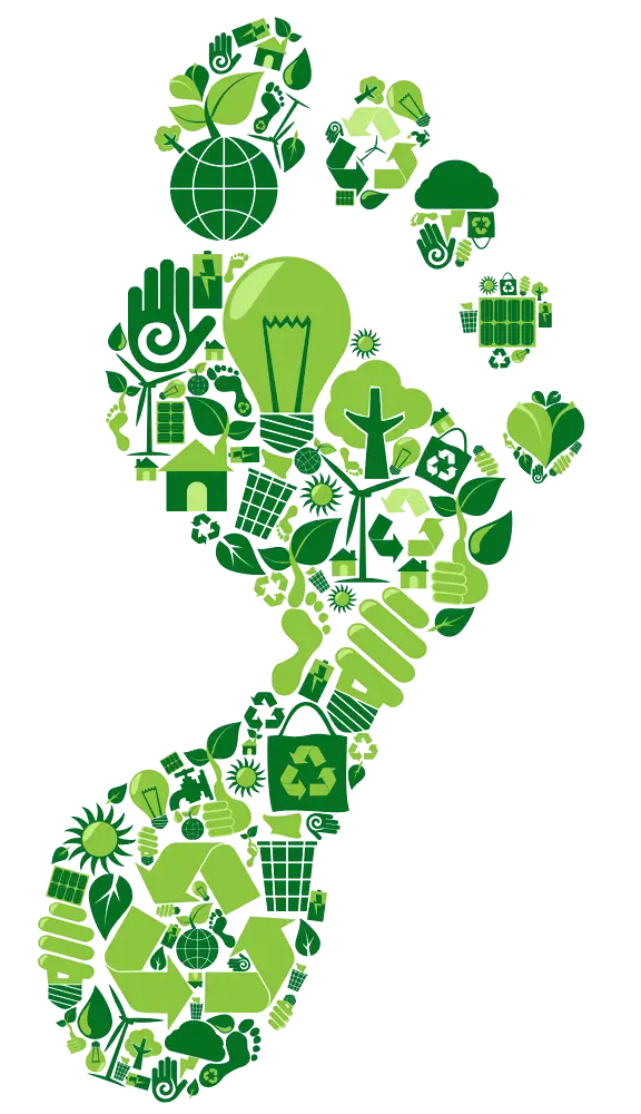 Green Footprint for Eco Awareness