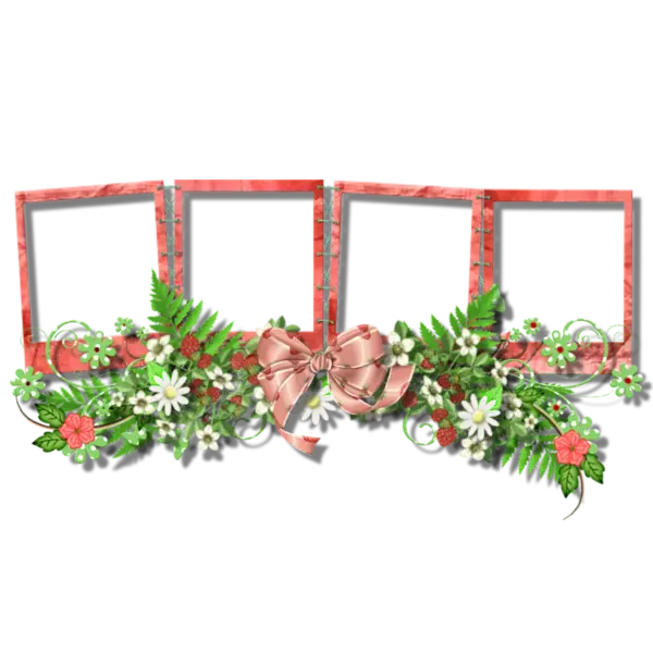 Decorative Photo Frames with Flowers