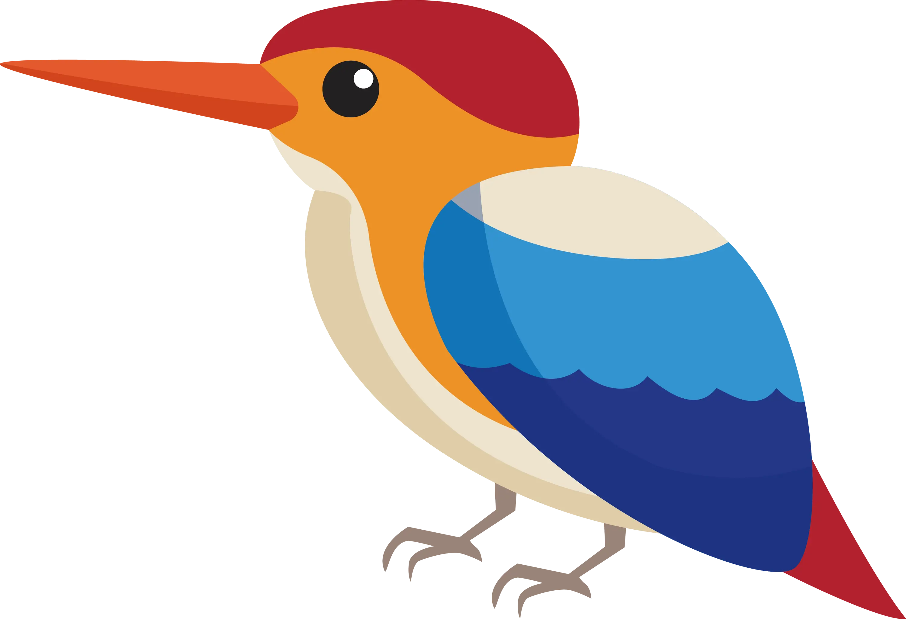 Cartoon Kingfisher Bird Illustration