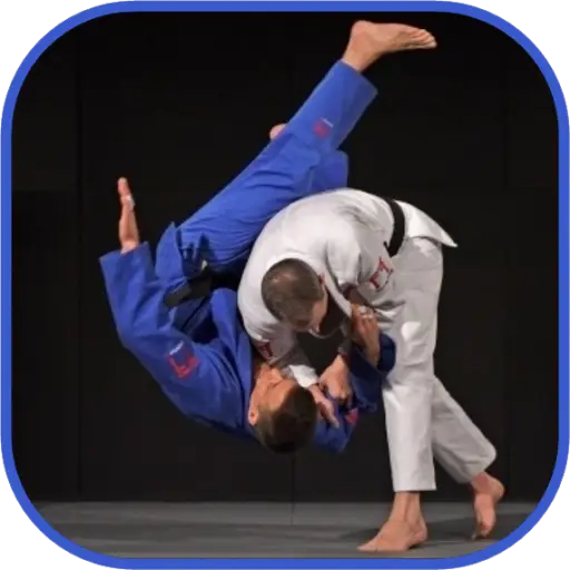 Martial Arts Fighters in Action