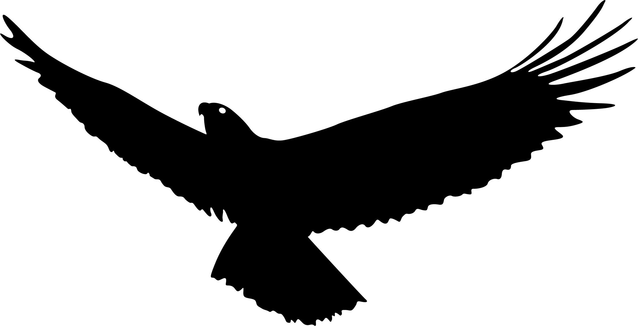 Silhouette of a Gliding Hawk with Wide Wings