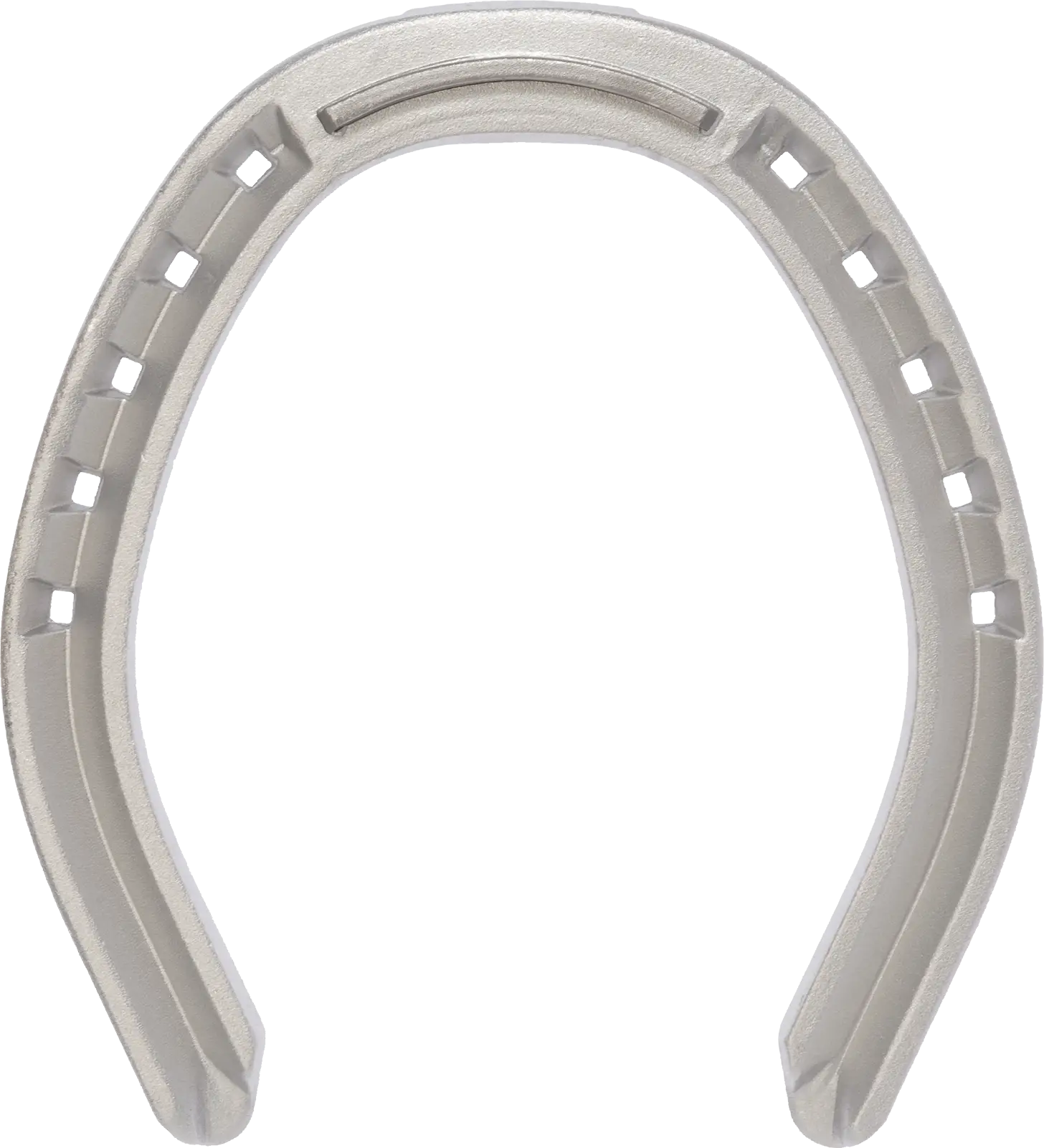 Silver Horseshoe for Good Luck