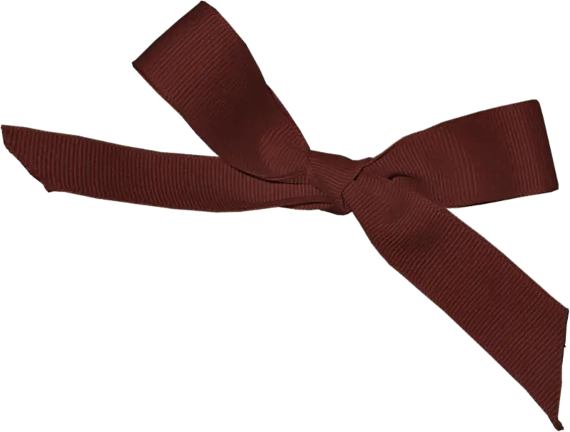 Brown Ribbon Bow Illustration