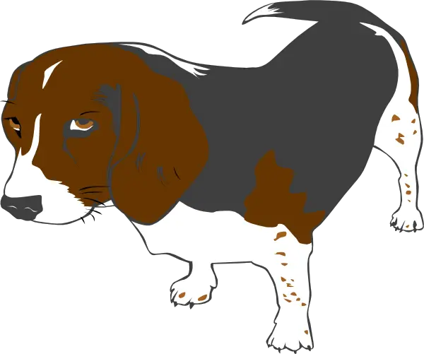 Cartoon Illustration of a Brown and White Dog
