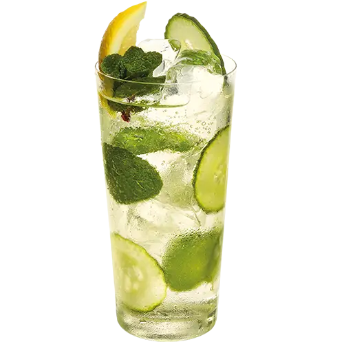 Refreshing Lemon Mint Drink
