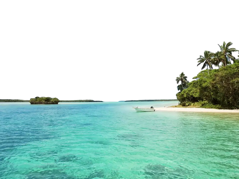 Tropical Beach with Clear Blue Water