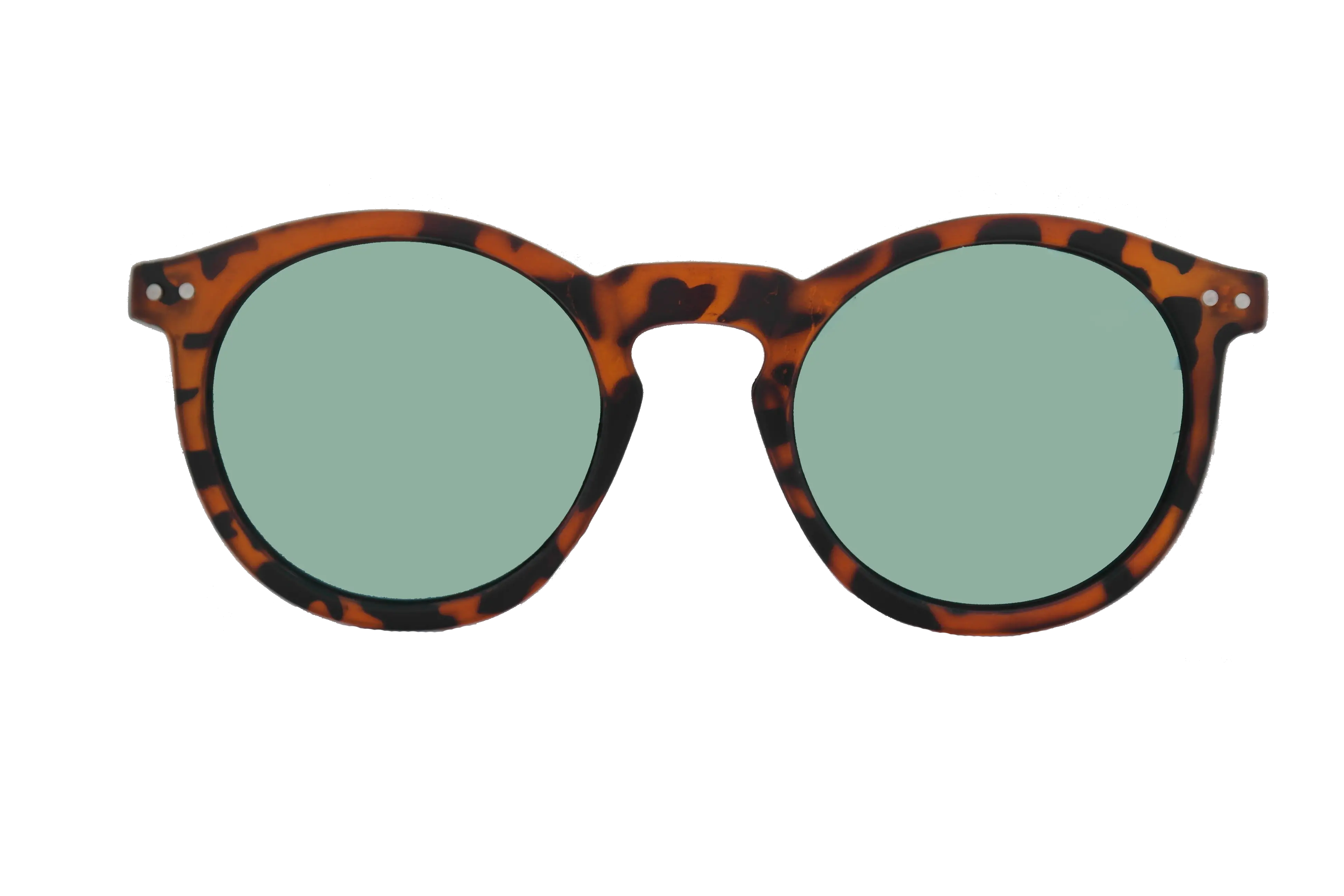 Trendy Tortoiseshell Round Sunglasses