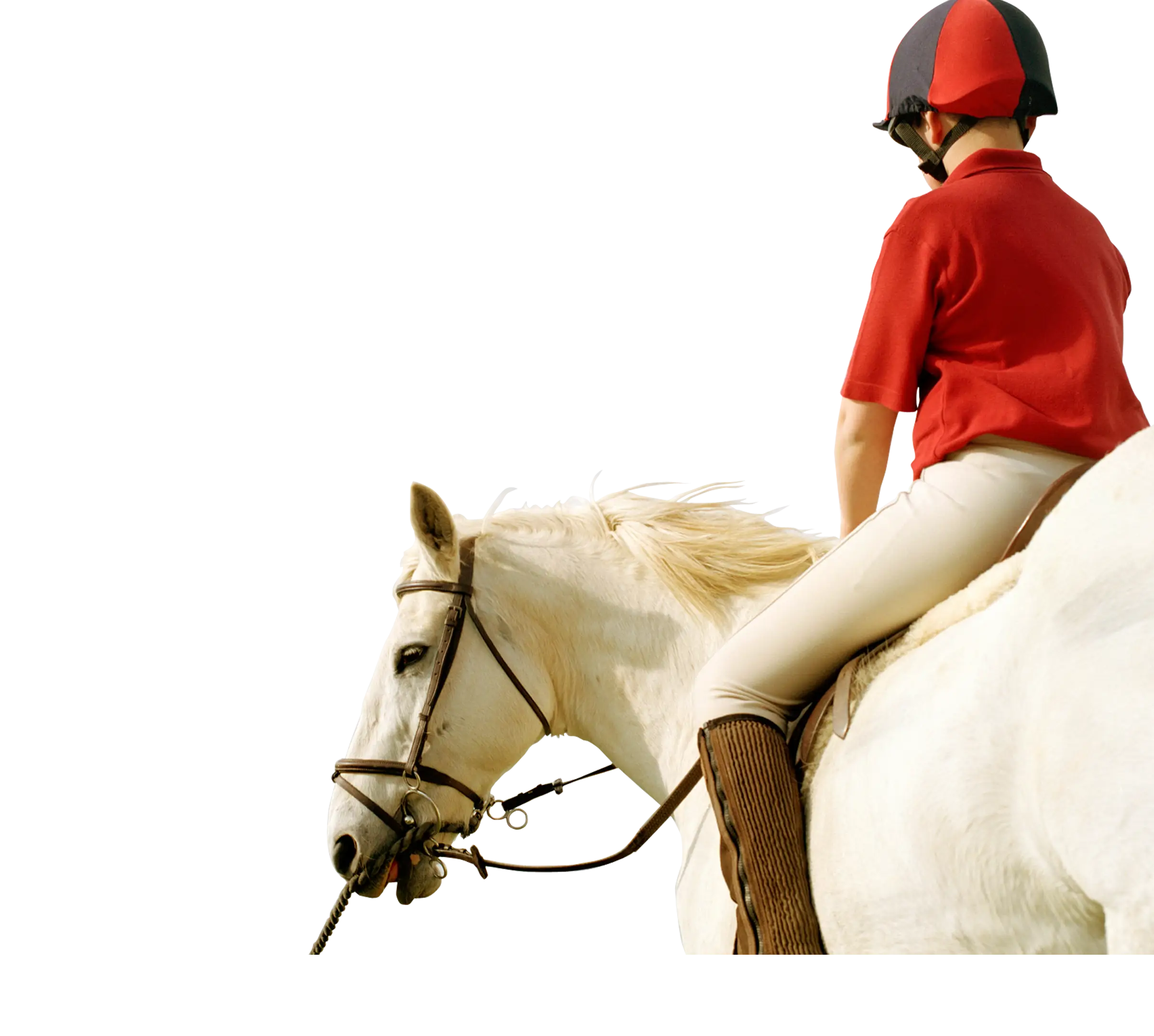Equestrian with White Horse