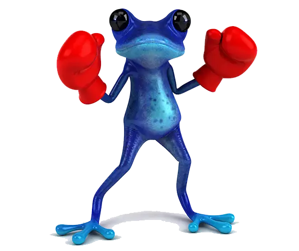 Boxing Frog Cartoon