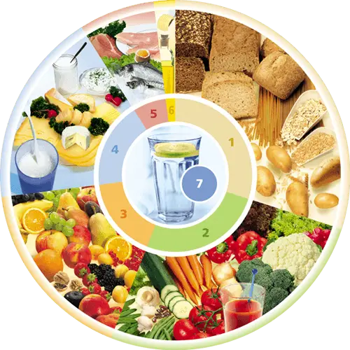 Healthy Food Circle for Balanced Diet
