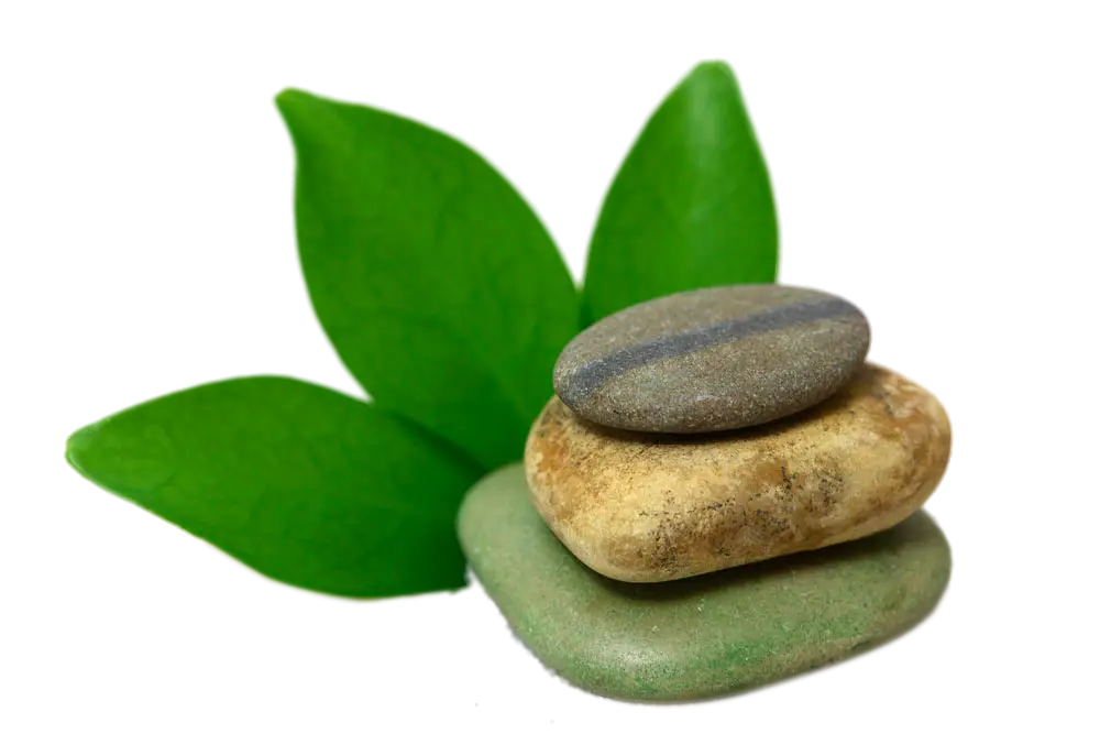 Stacked Stones with Green Leaves