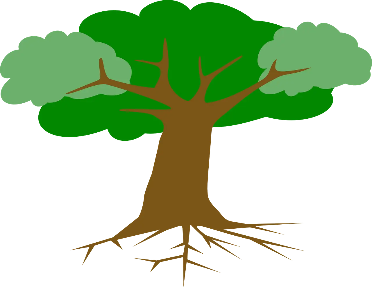 Tree Illustration with Roots and Green Canopy
