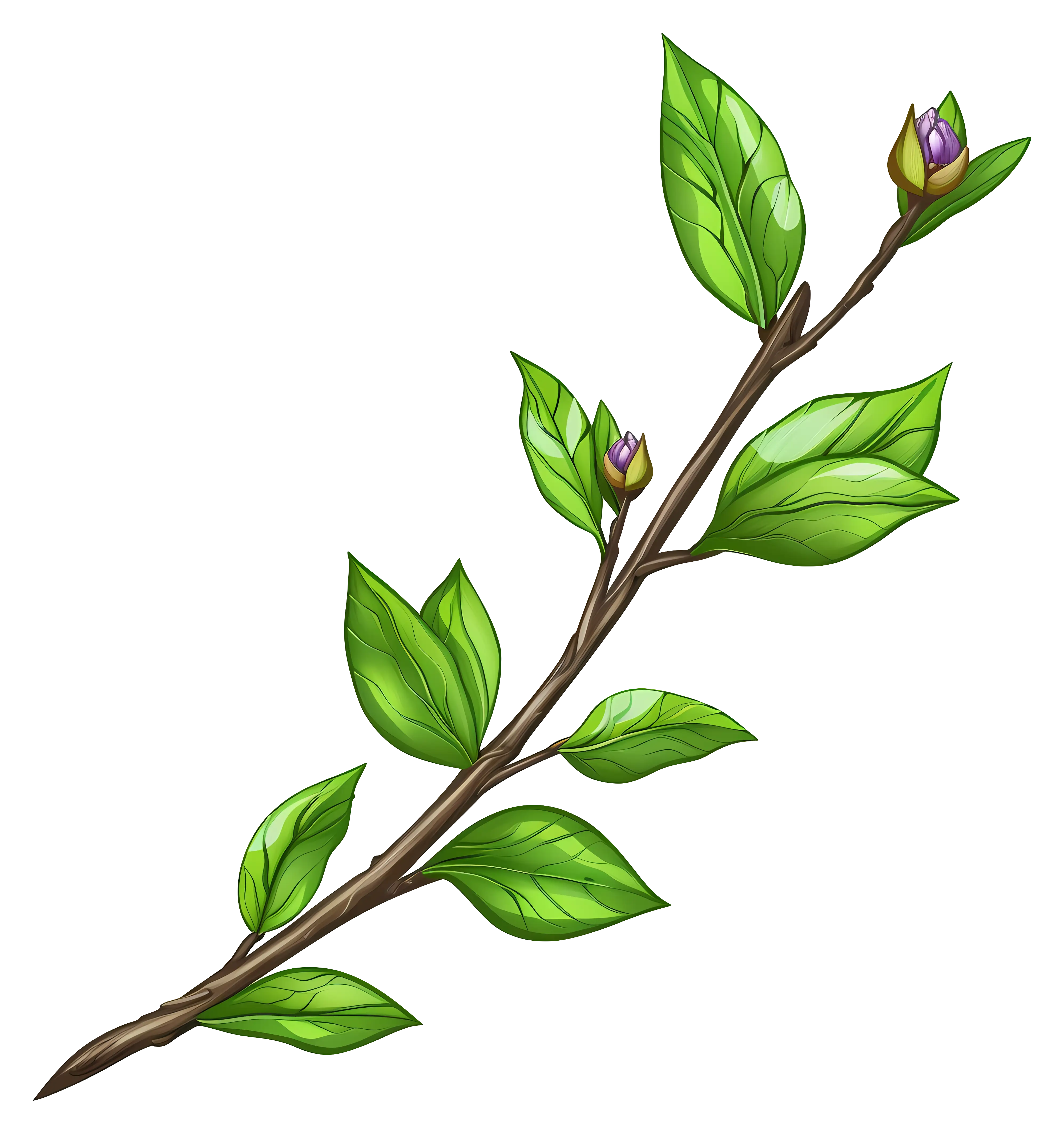 Illustrated Branch with Green Leaves