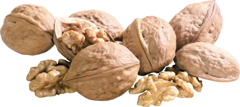 Walnuts with Shells