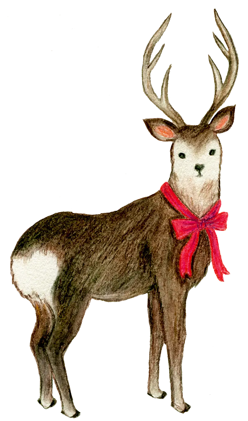 Illustrated Deer with Ribbon
