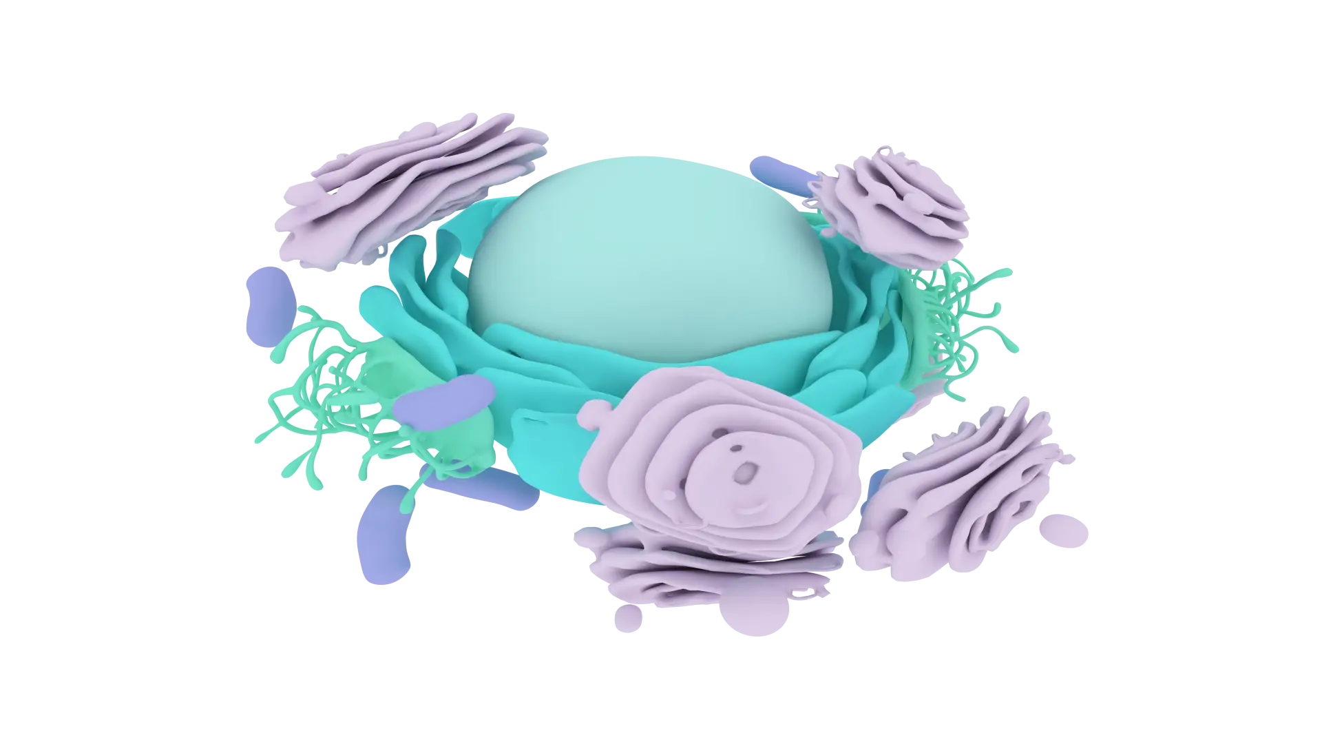 Illustration of Cell Organelles