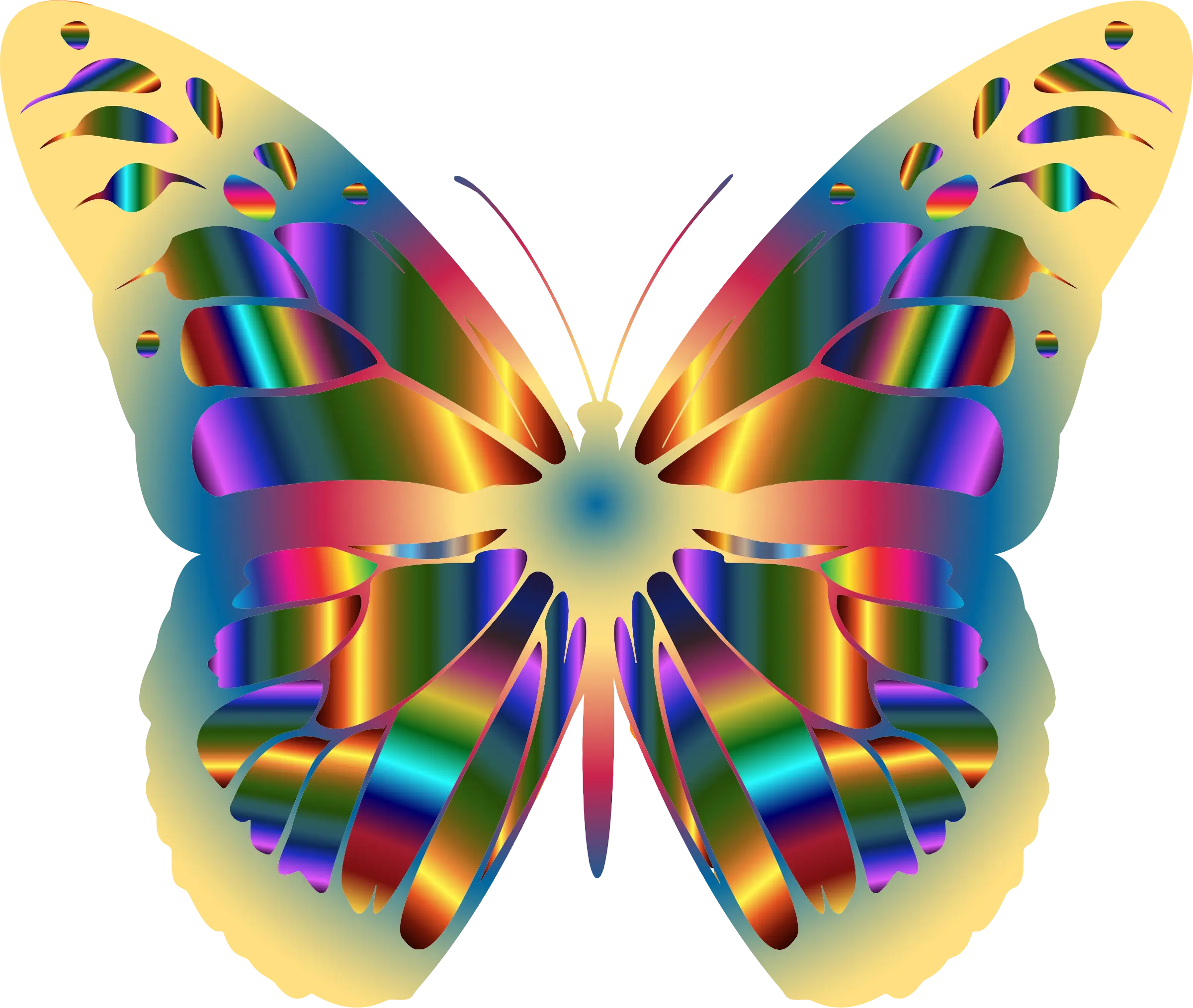 Vibrant Rainbow Butterfly Design