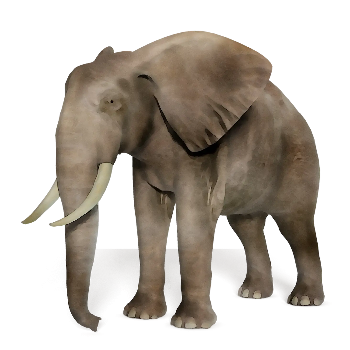 Realistic Illustration of an Elephant