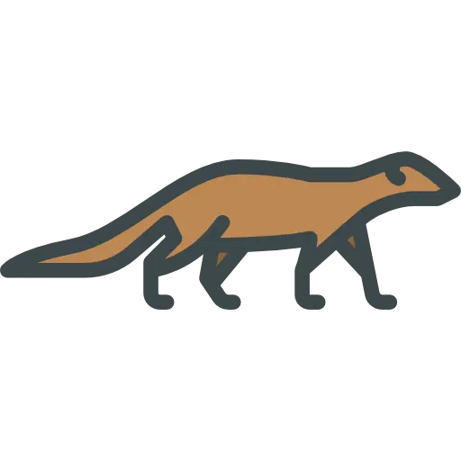 Vector Illustration of a Brown Mongoose