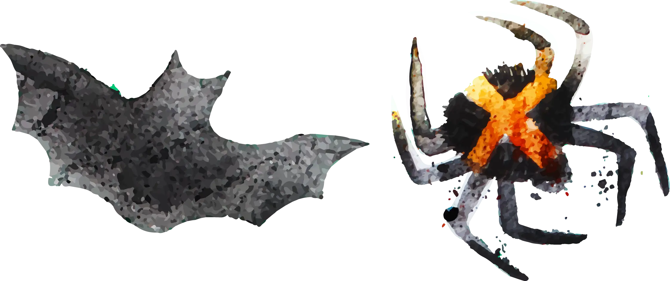 Creepy Bat and Spider for Halloween