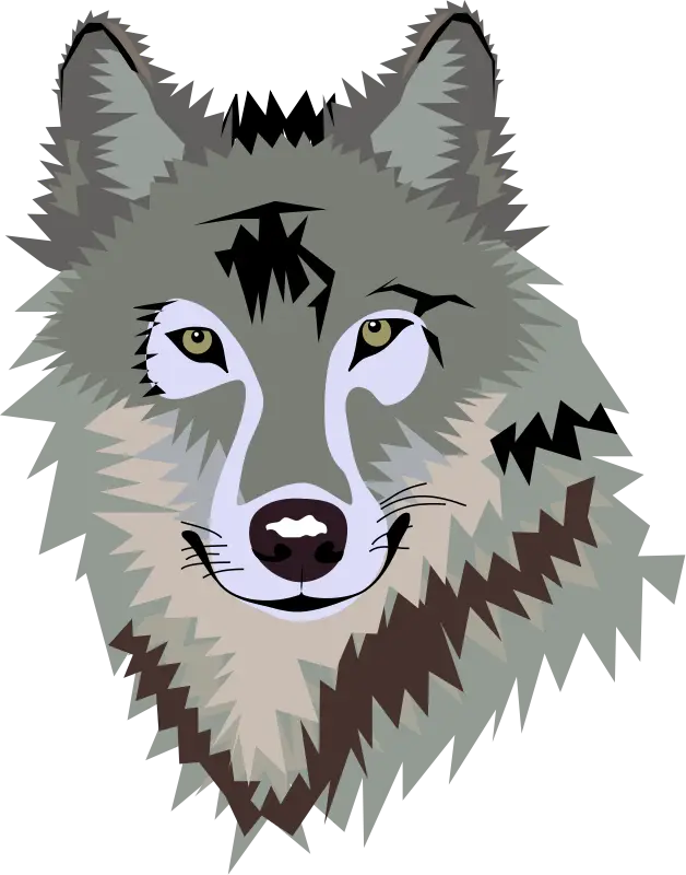 Stylized Wolf Graphic Illustration