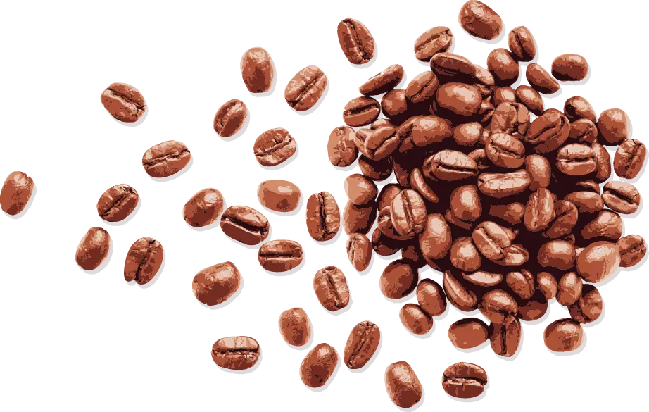 Roasted Coffee Beans