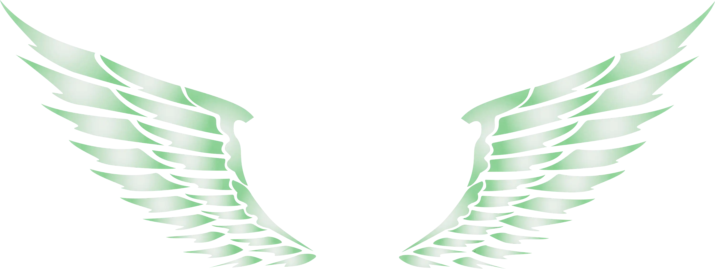 Green Angel Wings Illustration