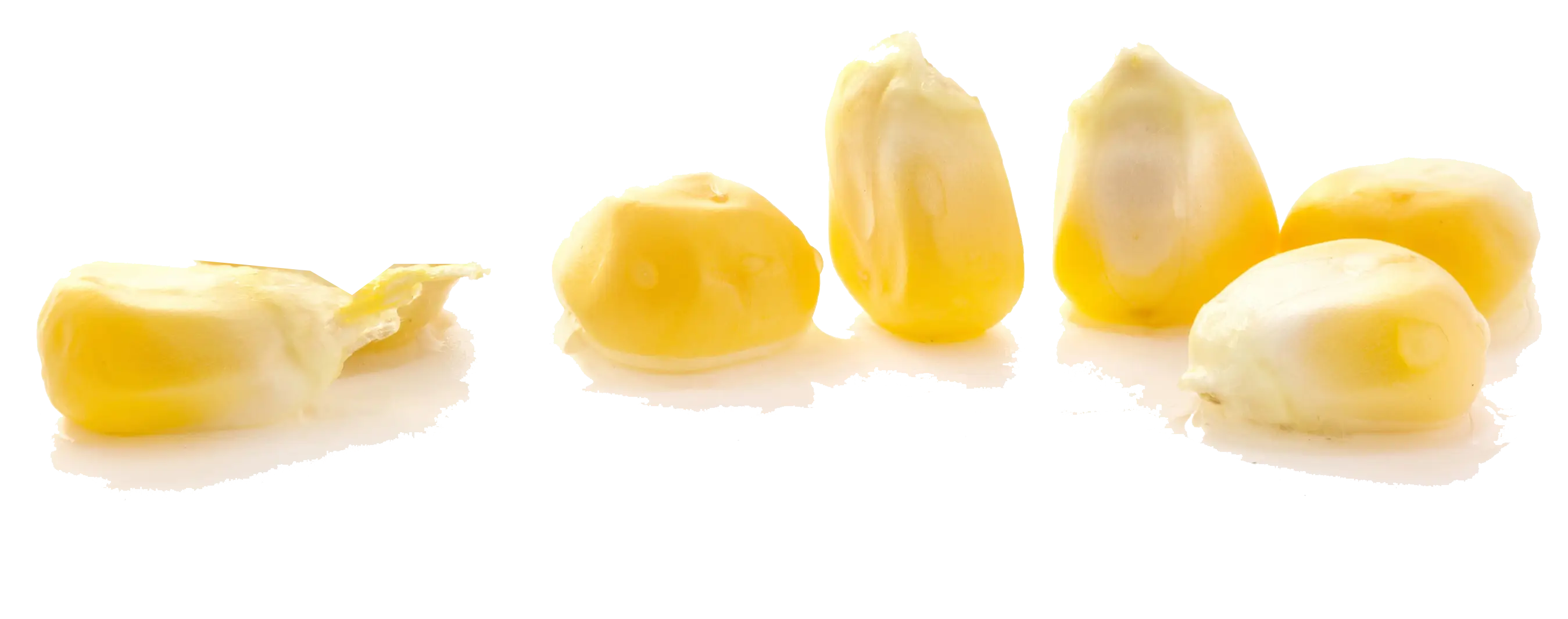 Yellow Corn Kernels