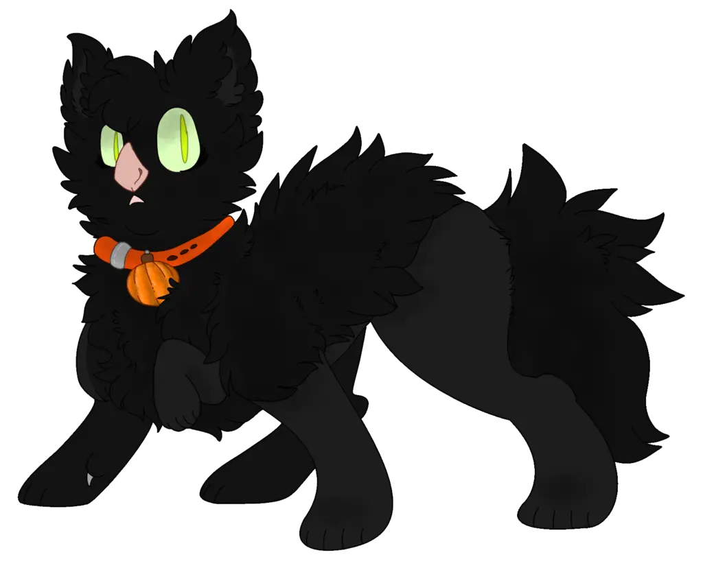 Fluffy Black Cartoon Cat