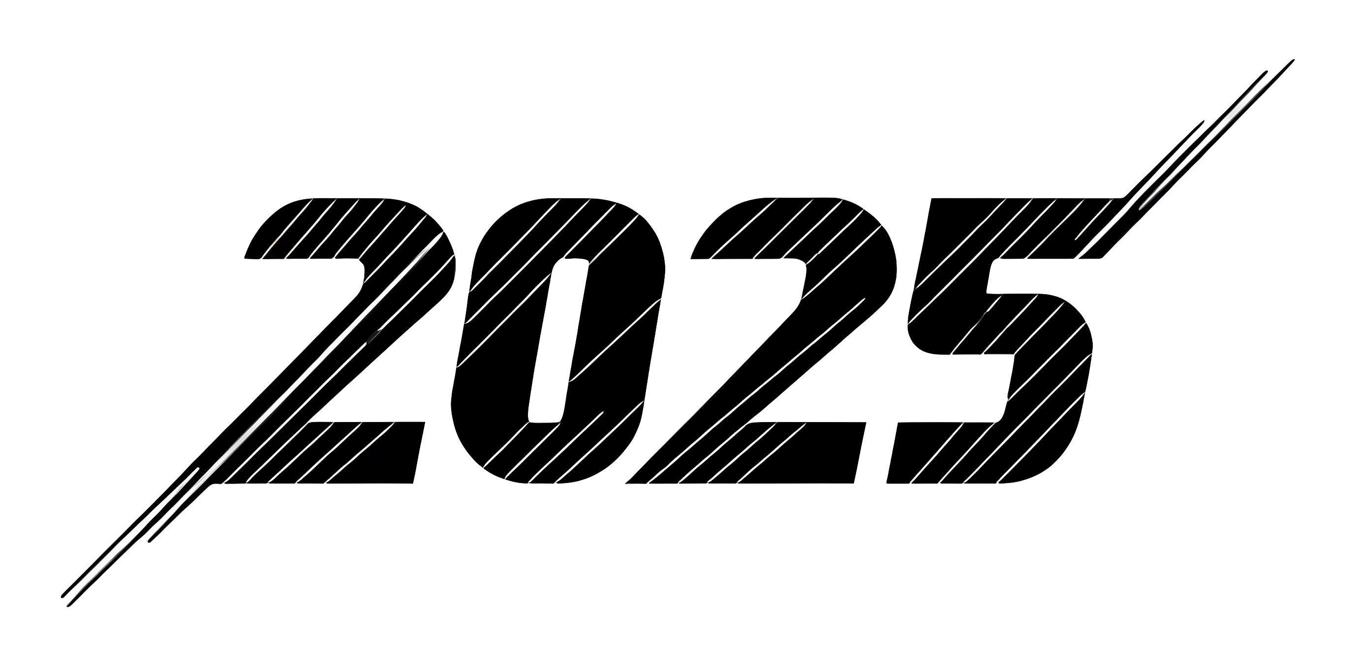 Stylized 2025 Text Design