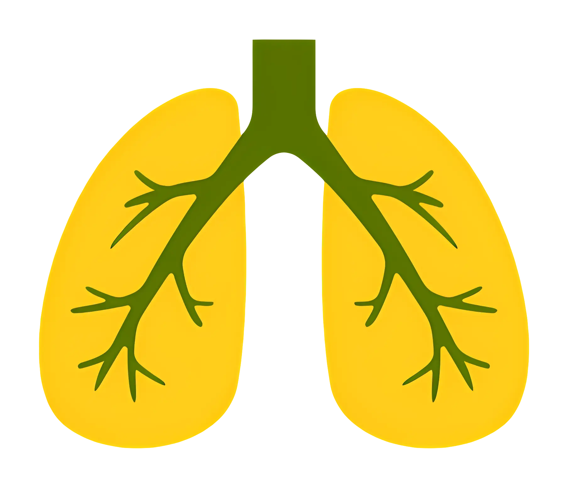 Lungs Icon Illustration
