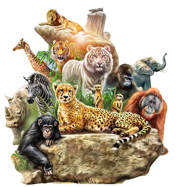 Collage of Wild Animals