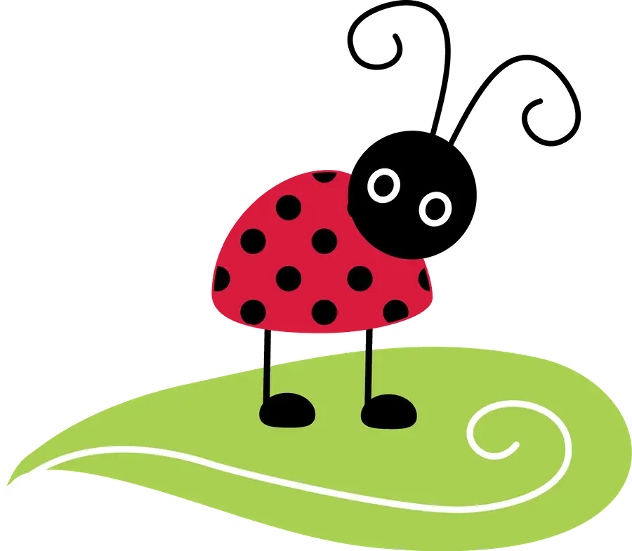 Red and Black Ladybug on a Green Leaf