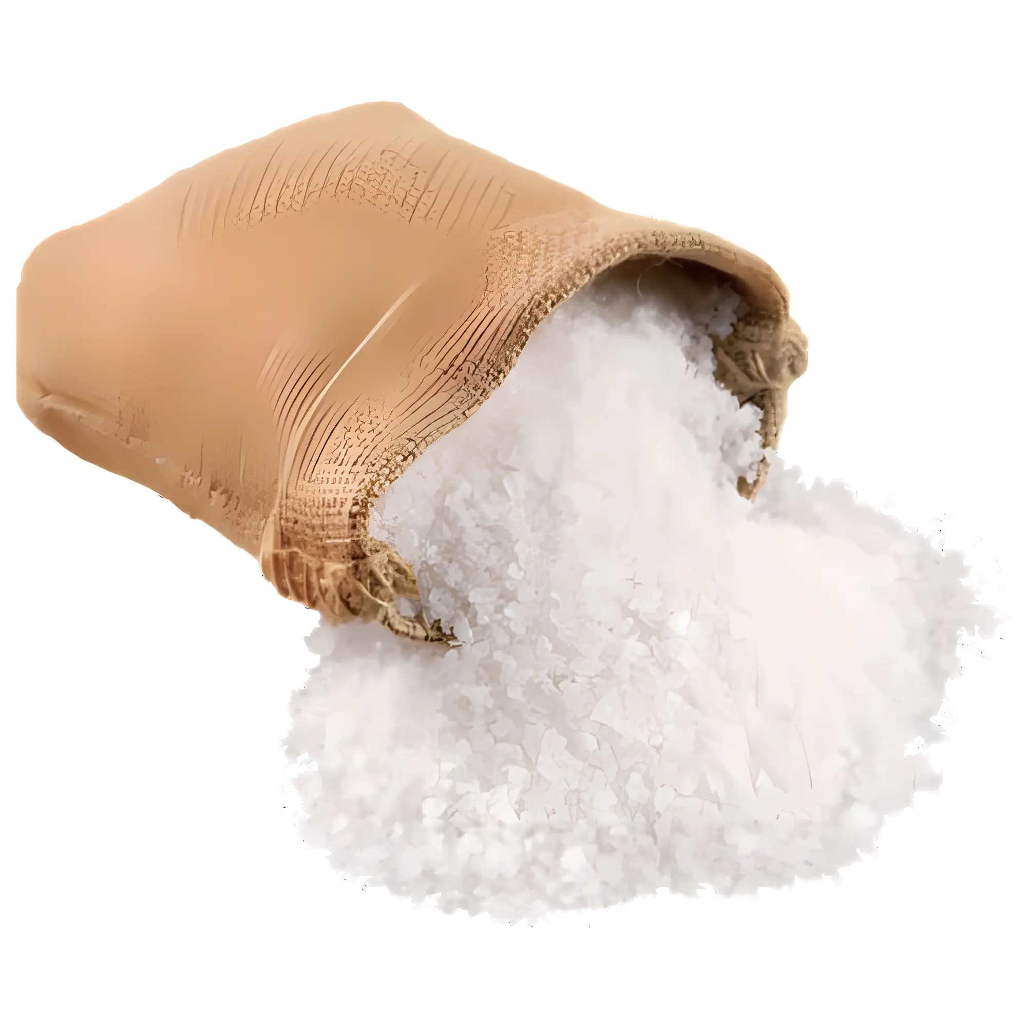 White Salt in a Bag