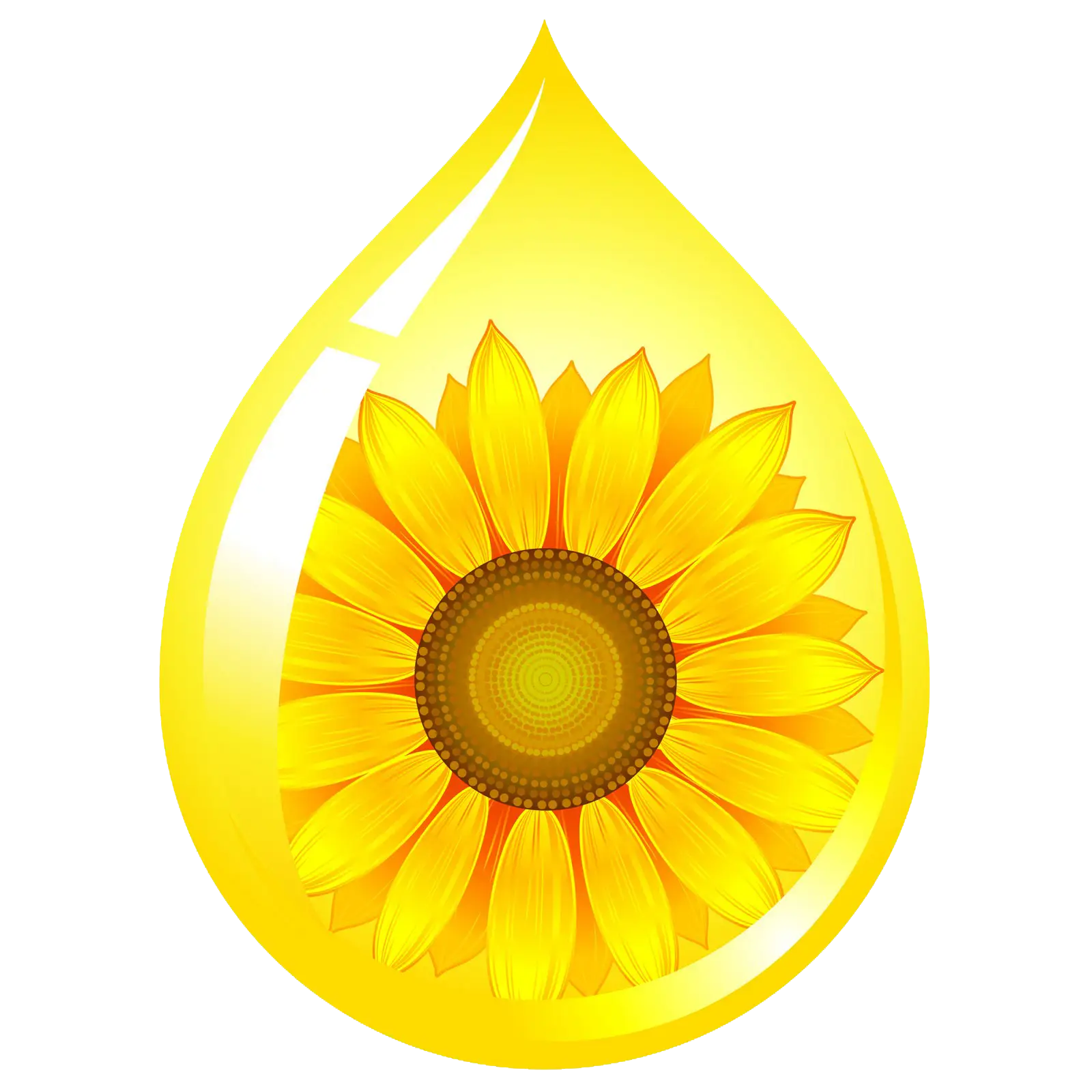 Sunflower in Oil Drop Illustration