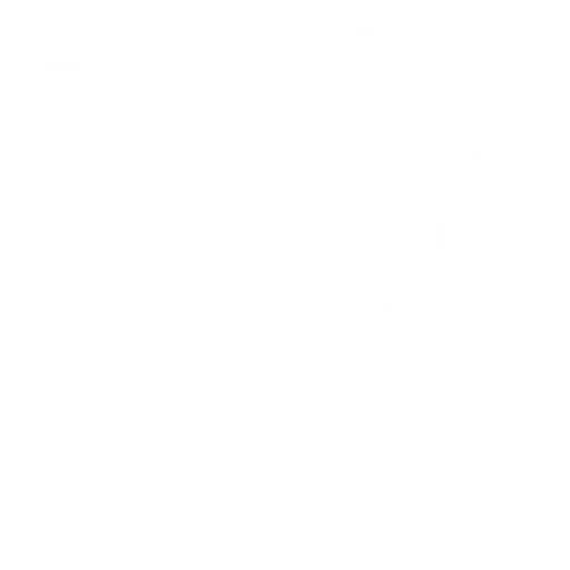 White Crown Silhouette