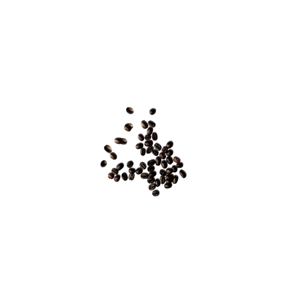 Small Black Seeds