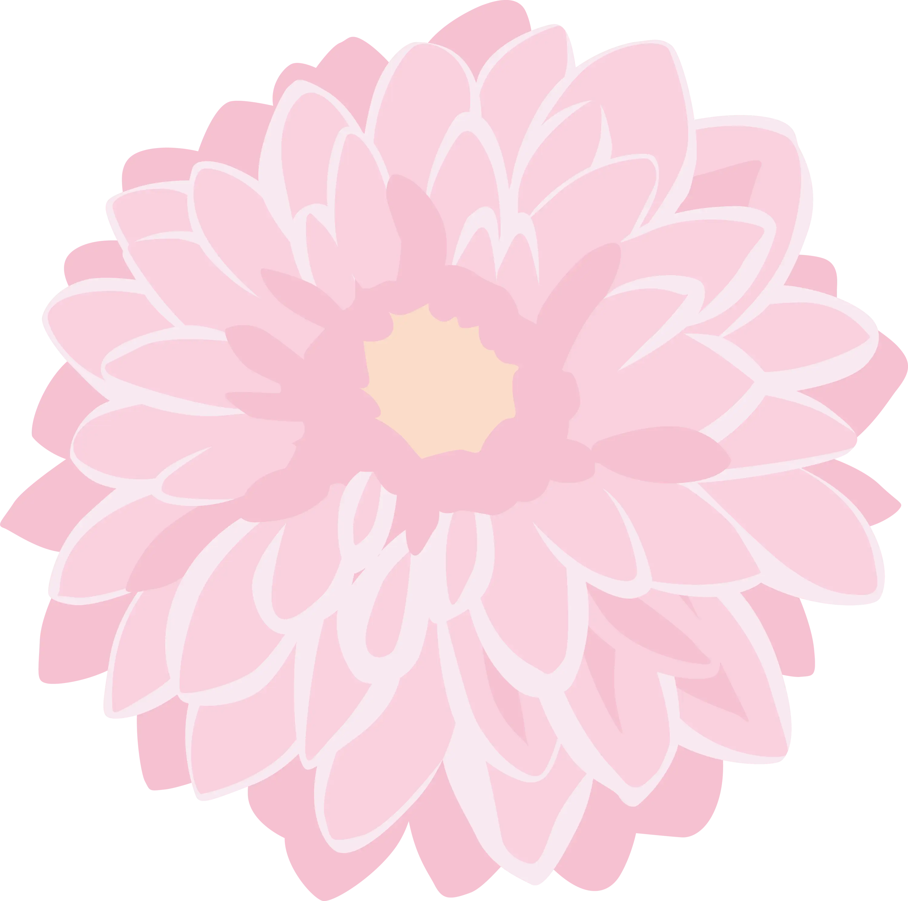 Pink Flower with Delicate Petals