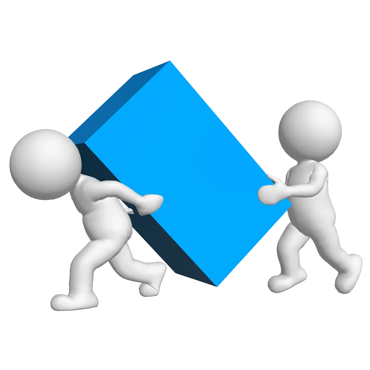 People Carrying a Moving Box
