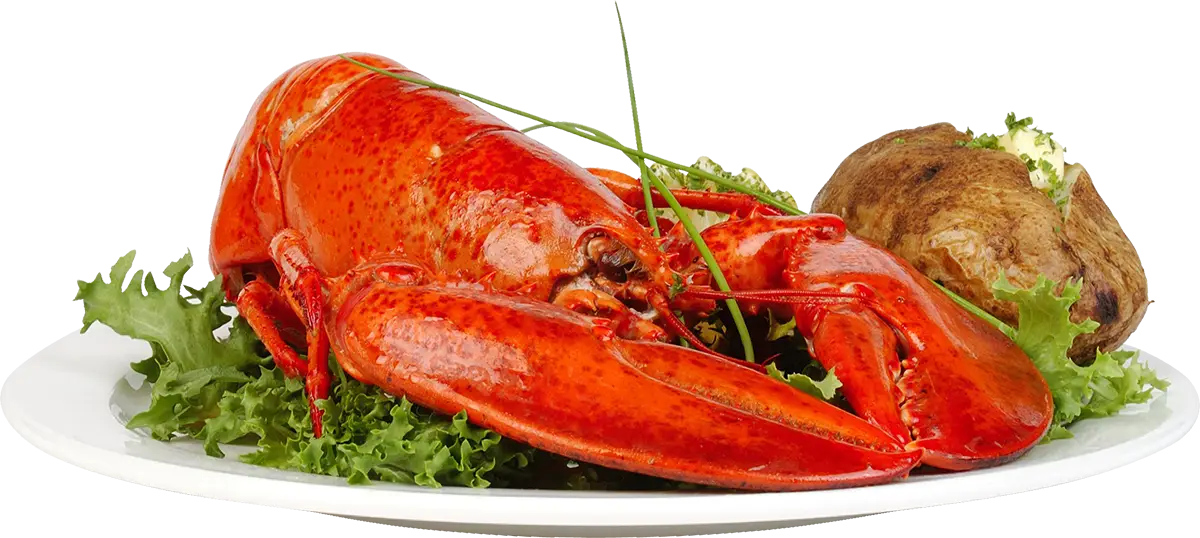 Lobster Dish with Garnishes