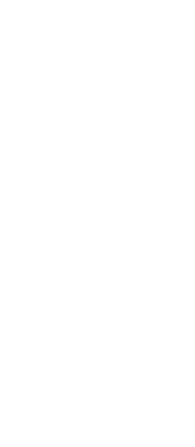 White Spiral Ribbon for Elegant Decorations