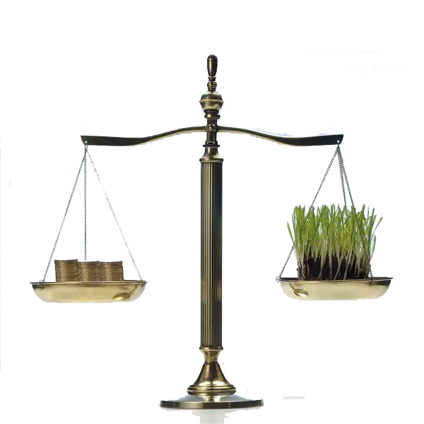 Balance Scale with Coins and Plants