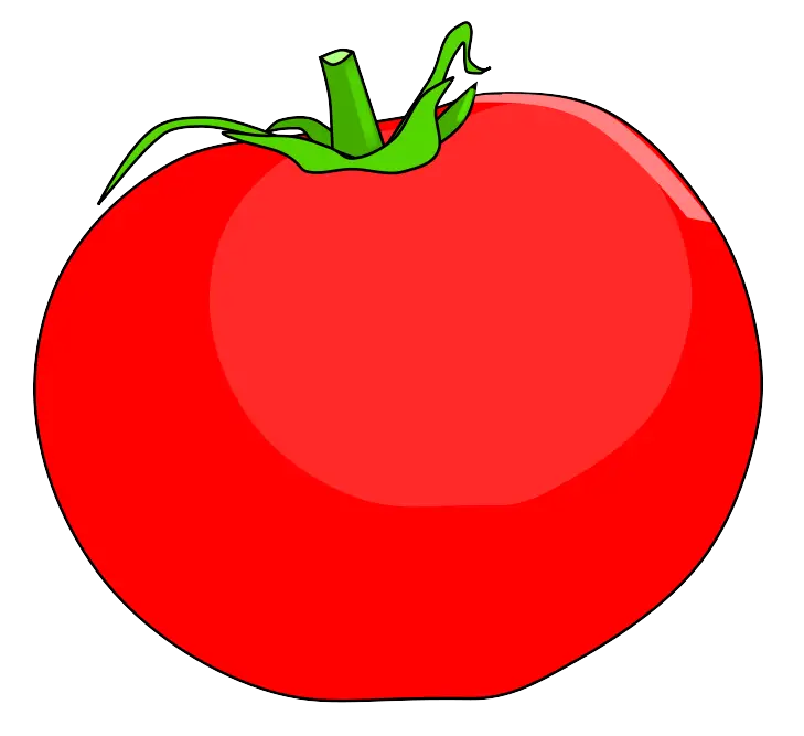 Bright Red Tomato Illustration